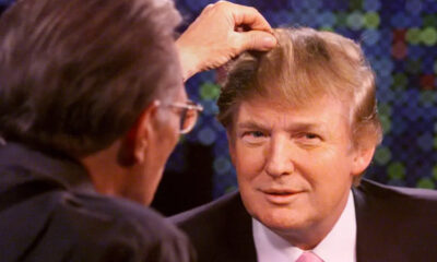 Donald Trump Hair