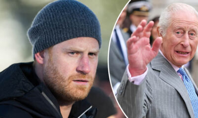 King Charles and harry