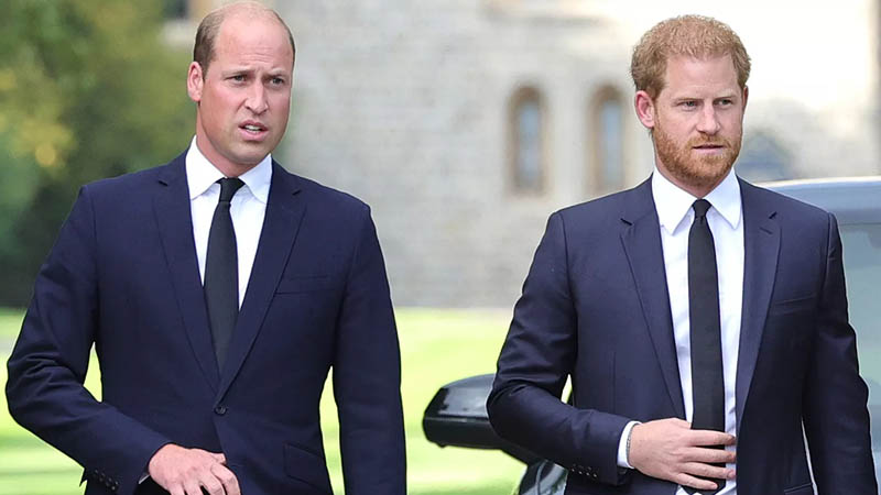 Prince William and Prince Harrry