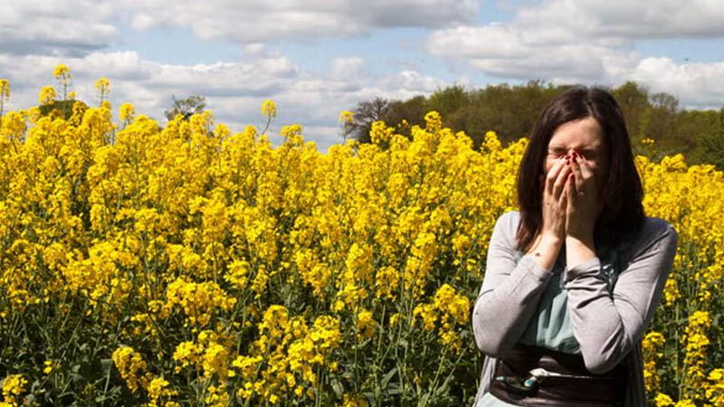 symptoms of severe hayfever by changing how the body responds to allergens