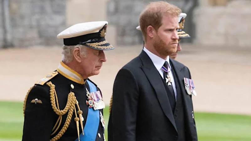 Prince Harry and King Charles