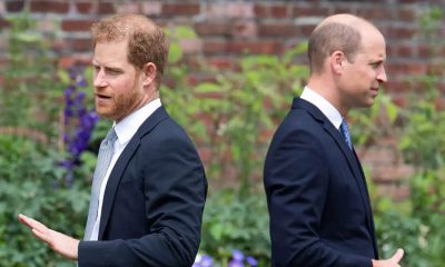 Prince Harry and Prince William