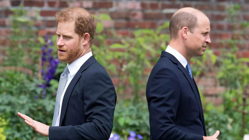 Prince Harry and Prince William