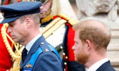 Prince William and Prince Harry