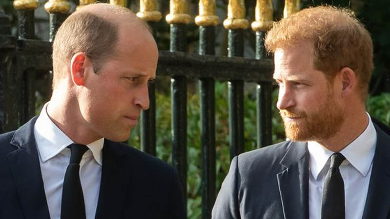 Prince William and Prince Harry