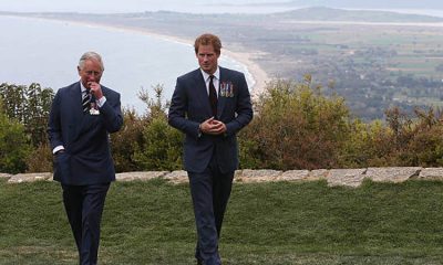 King Charles and Harry