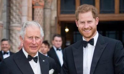 King Charles and Prince Harry