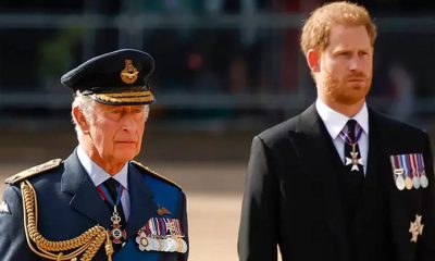 Prince Harry and King Charles