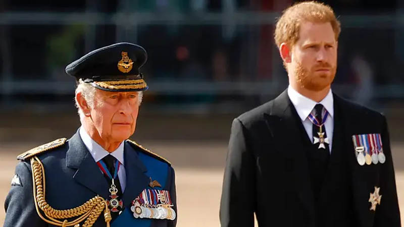 Prince Harry and King Charles