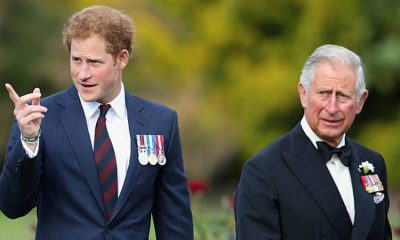 Prince Harry and King Charles