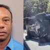 Tiger Woods rollover car crash